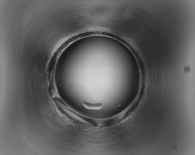 X0000116161022200911231400