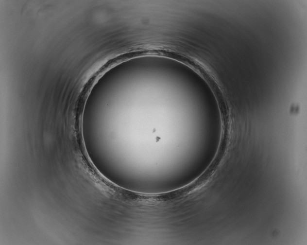 X0000116161023200911231400
