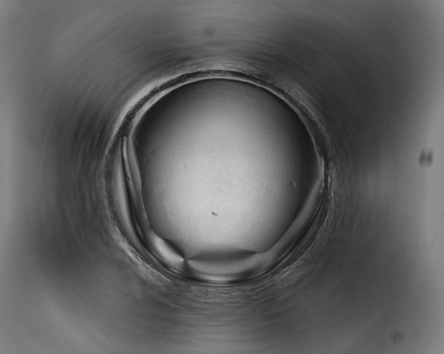 X0000116161024200911231400