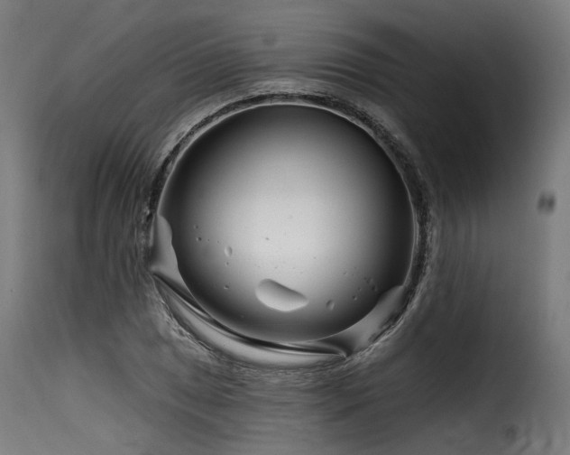 X0000116161025200911231400