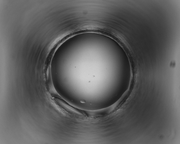 X0000116161026200911231400