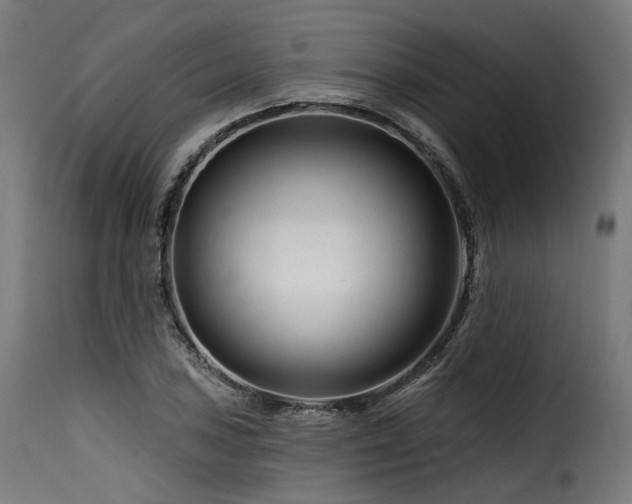 X0000116161027200911231400