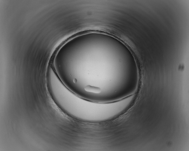 X0000116161028200911231400