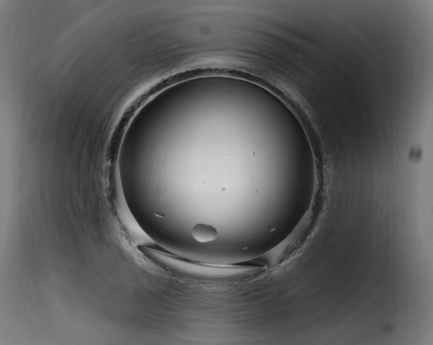 X0000116161029200911231400