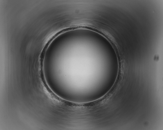 X0000116161031200911231400
