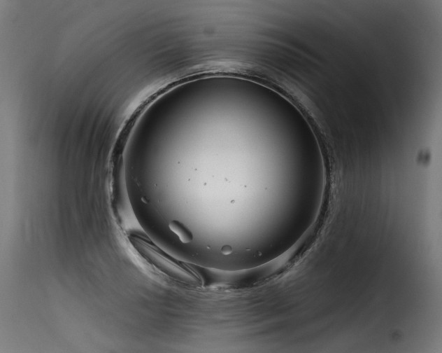 X0000116161034200911231400