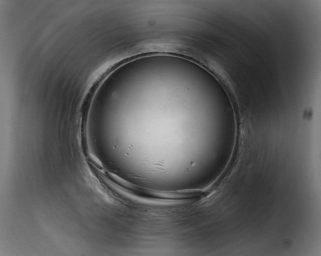 X0000116161035200911231400