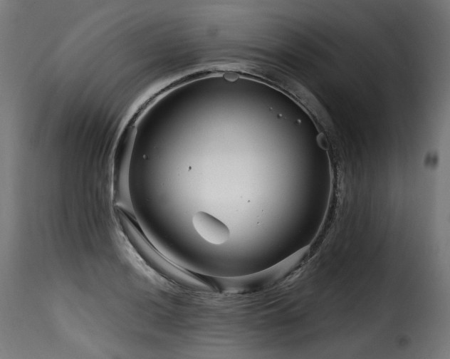 X0000116161036200911231400