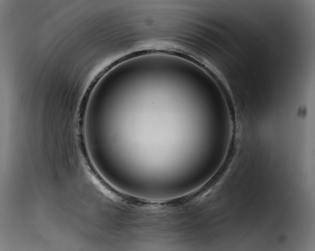 X0000116161037200911231400
