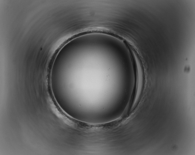 X0000116161038200911231400