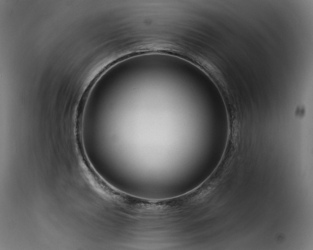 X0000116161039200911231400
