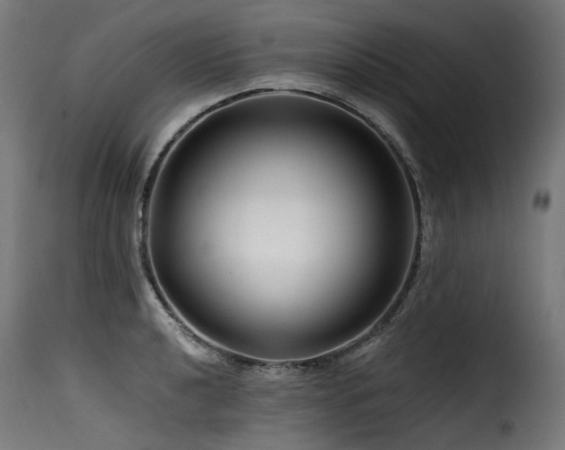 X0000116161040200911231400