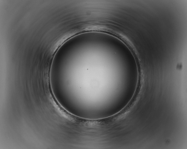 X0000116161041200911231400
