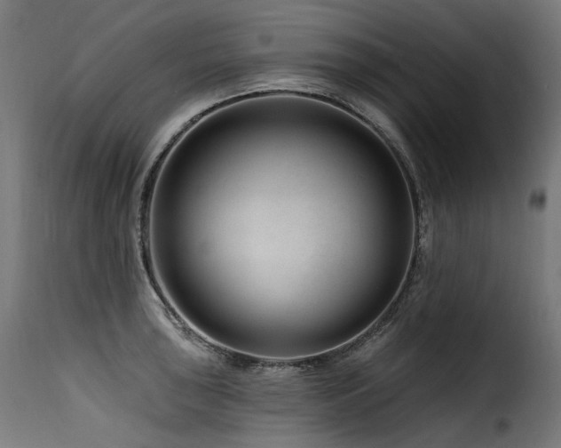 X0000116161043200911231400