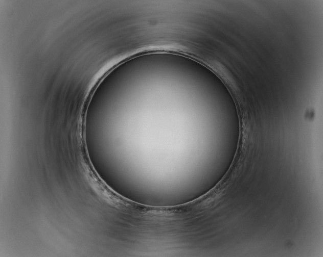 X0000116161044200911231400