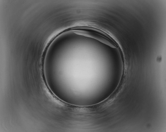X0000116161045200911231400