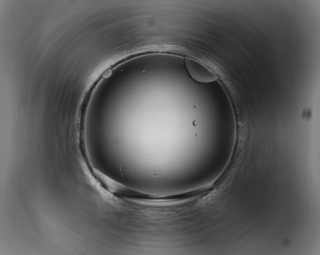 X0000116161046200911231400