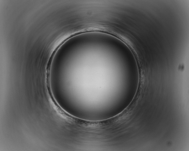 X0000116161047200911231400
