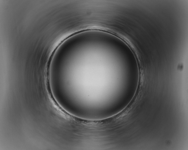X0000116161048200911231400