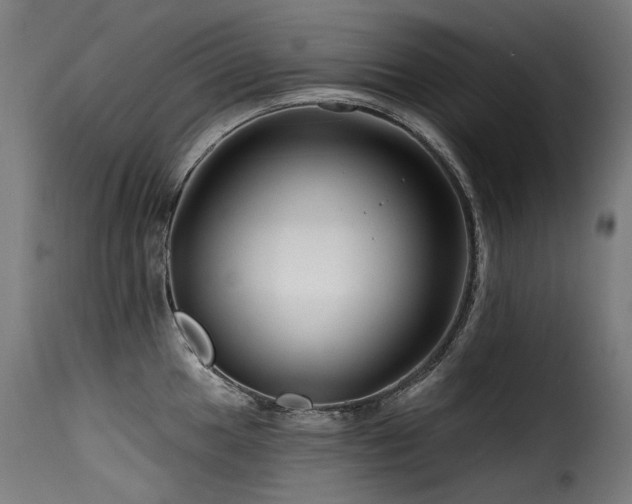 X0000116161049200911231400