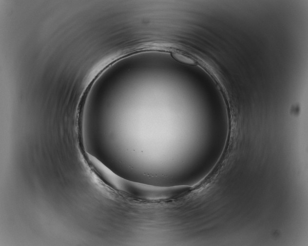 X0000116161050200911231400