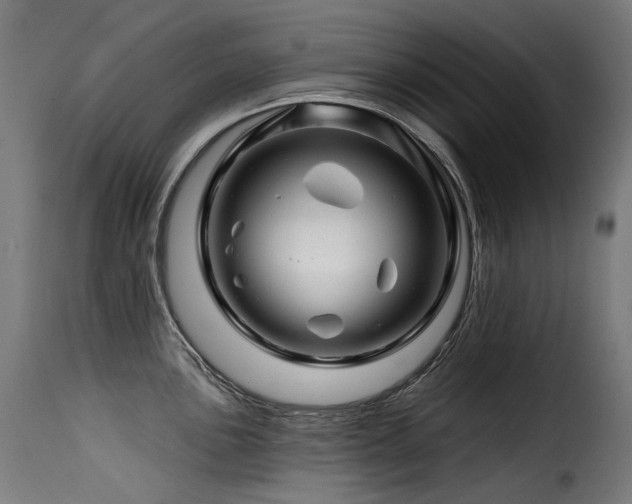 X0000116161051200911231400
