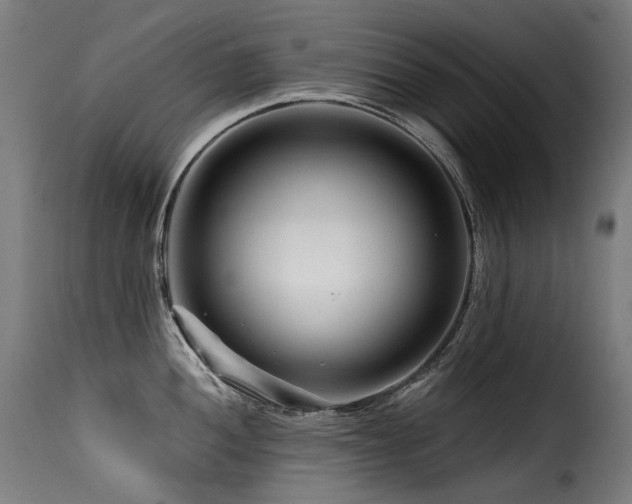 X0000116161052200911231400