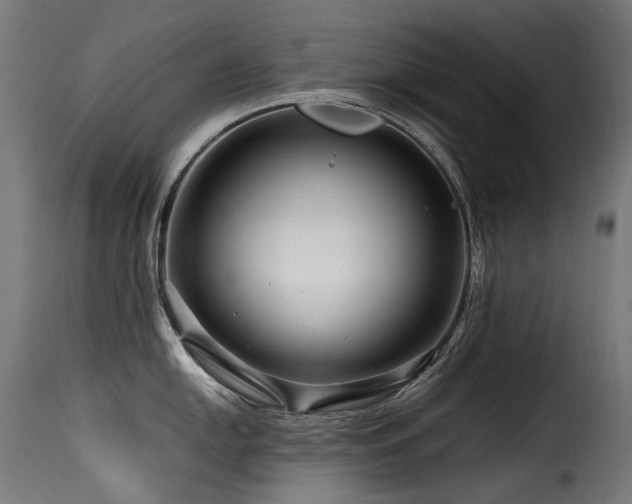 X0000116161054200911231400