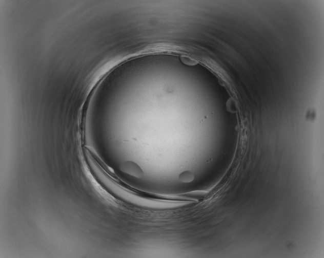 X0000116161055200911231400