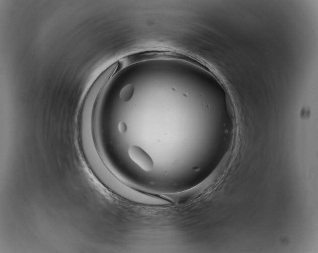 X0000116161056200911231400