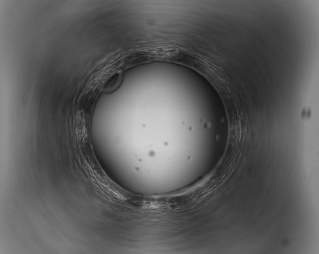 X0000116161058200911231359