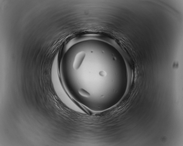 X0000116161060200911231359