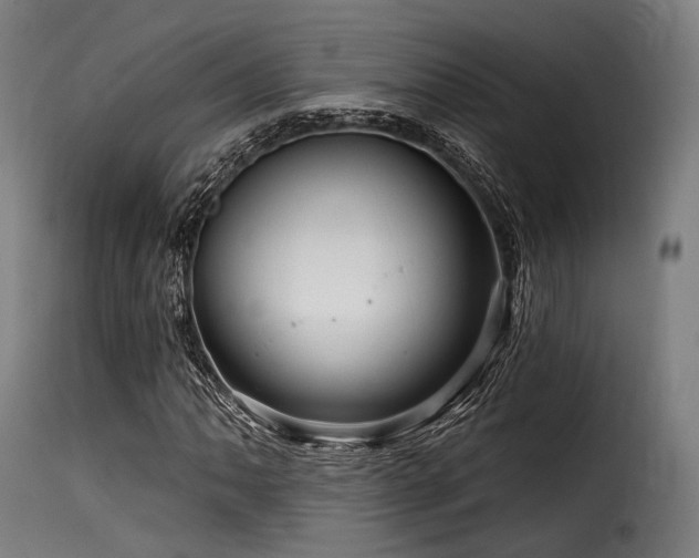 X0000116161062200911231359