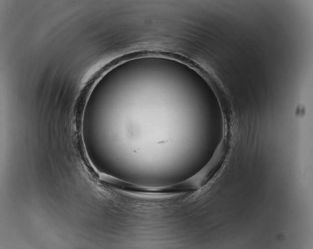 X0000116161070200911231359