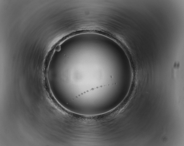 X0000116161071200911231359