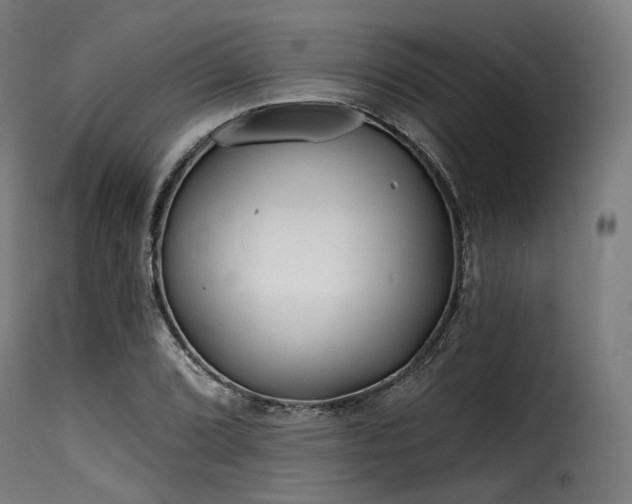 X0000116161072200911231359