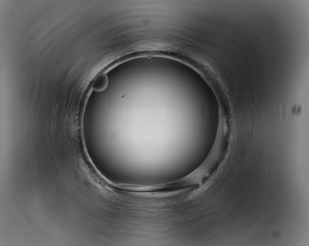 X0000116161073200911231359