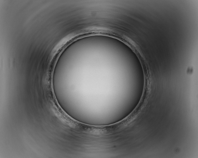 X0000116161074200911231359