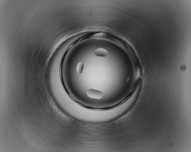 X0000116161075200911231359