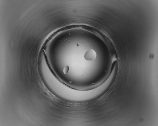 X0000116161076200911231359