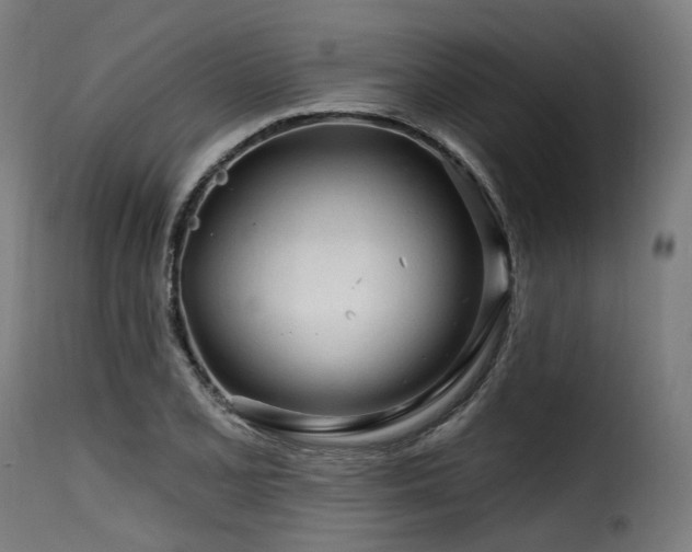 X0000116161077200911231359