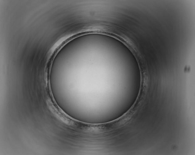 X0000116161078200911231359