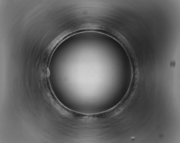 X0000116161081200911231359