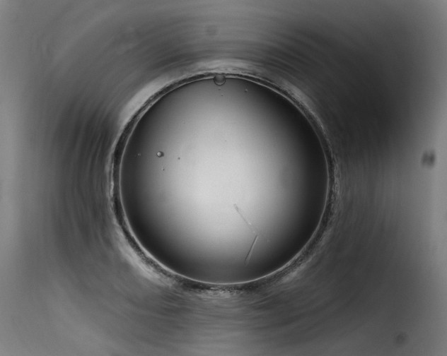 X0000116161082200911231359