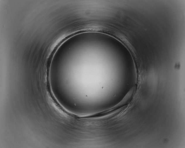 X0000116161083200911231359