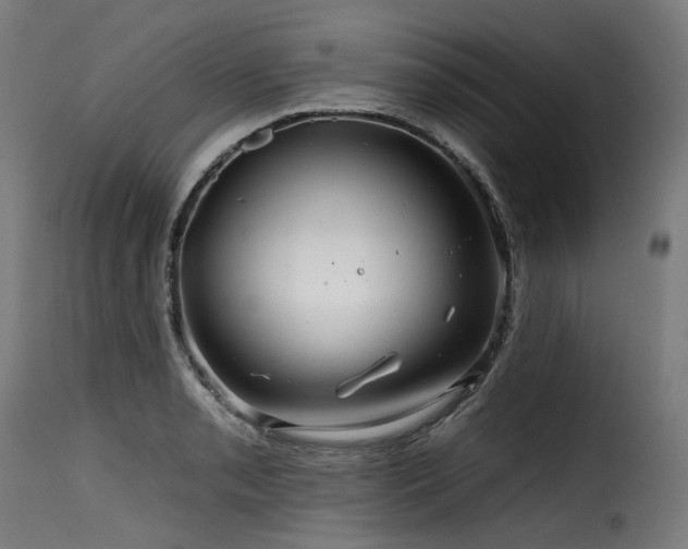 X0000116161085200911231359