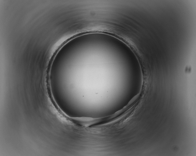 X0000116161086200911231359