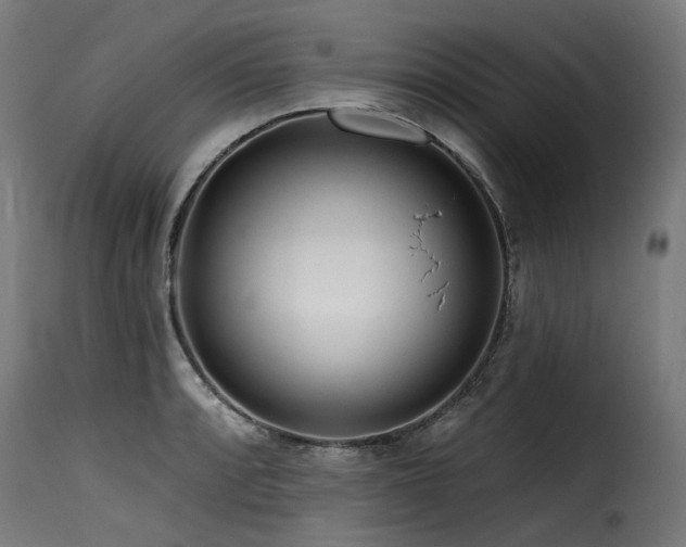X0000116161088200911231359