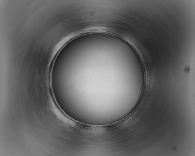 X0000116161090200911231359