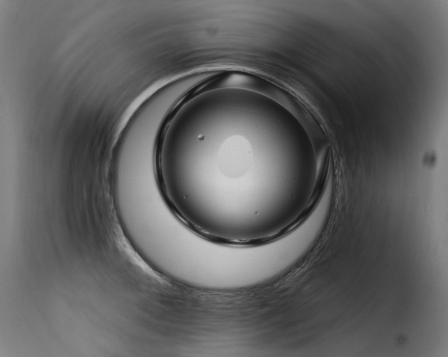 X0000116161092200911231359